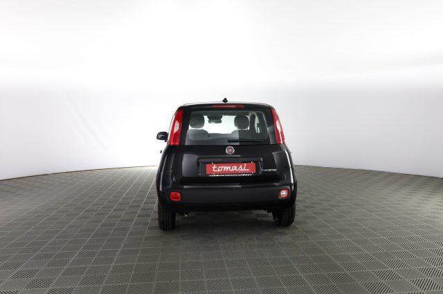 FIAT Panda Panda 1.0 FireFly S&S Hybrid Icon