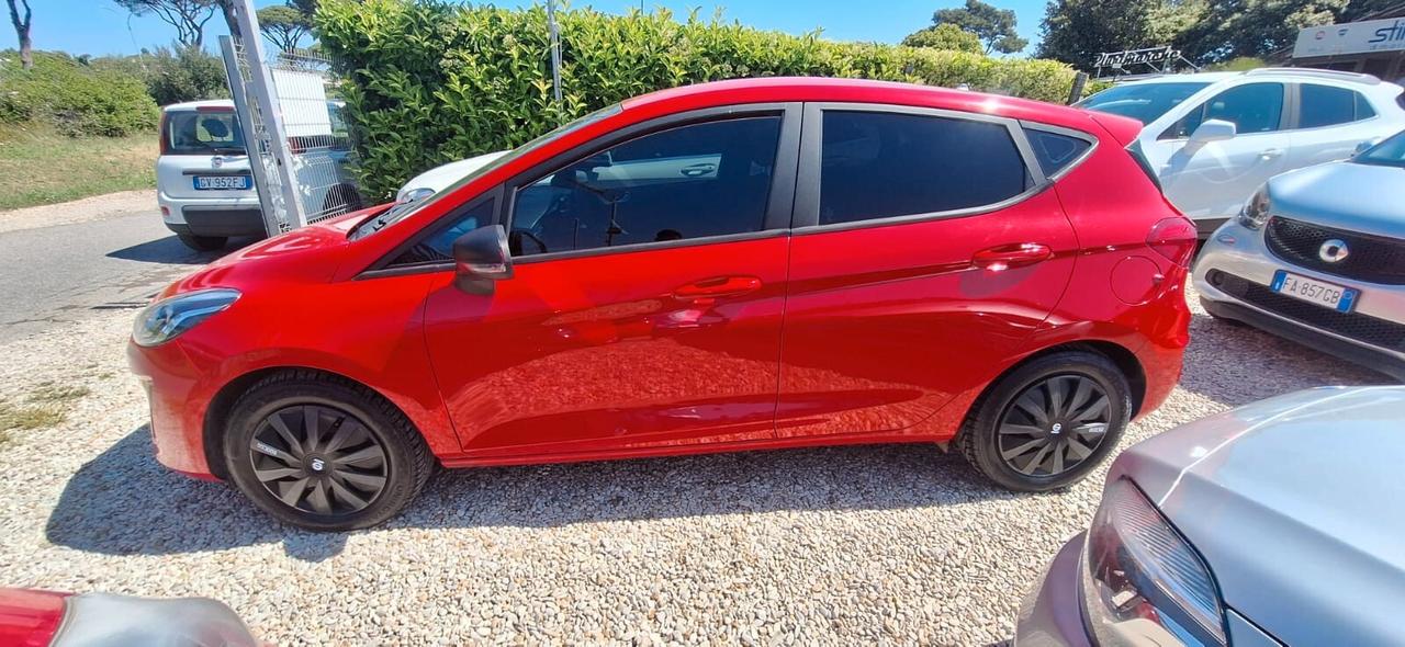 Ford Fiesta 1.1 85 CV 5 porte Business