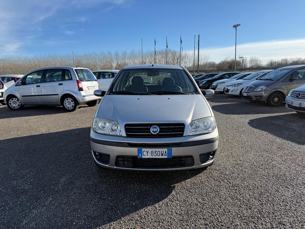 Fiat Punto 1.2 5 porte Dynamic