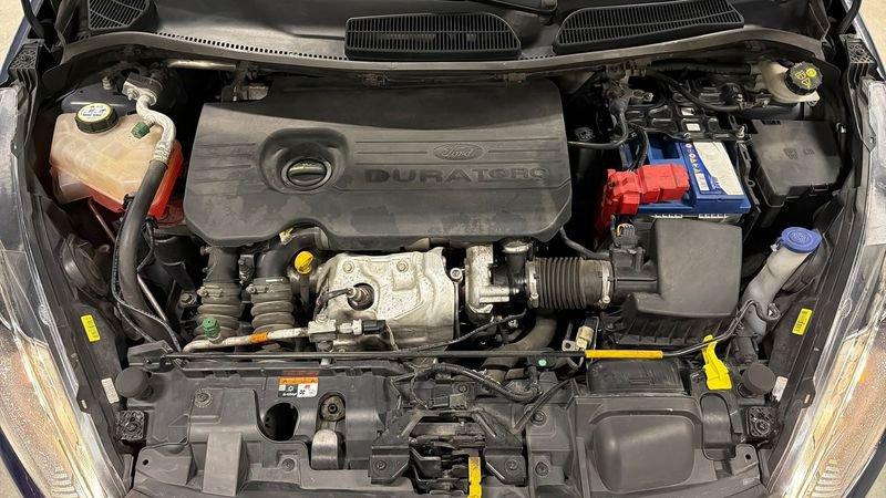 Ford Fiesta VI 2013 5 Porte 1.5 TDCi 75cv Business E6