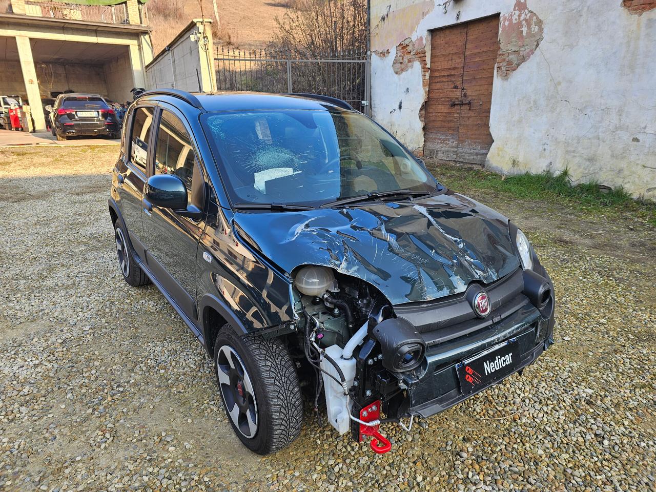 Fiat Panda Cross 1.0 FireFly S&S Hybrid