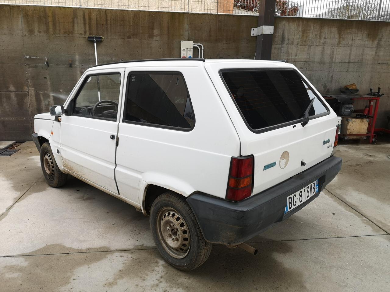 Fiat Panda 1100 i.e. cat Young