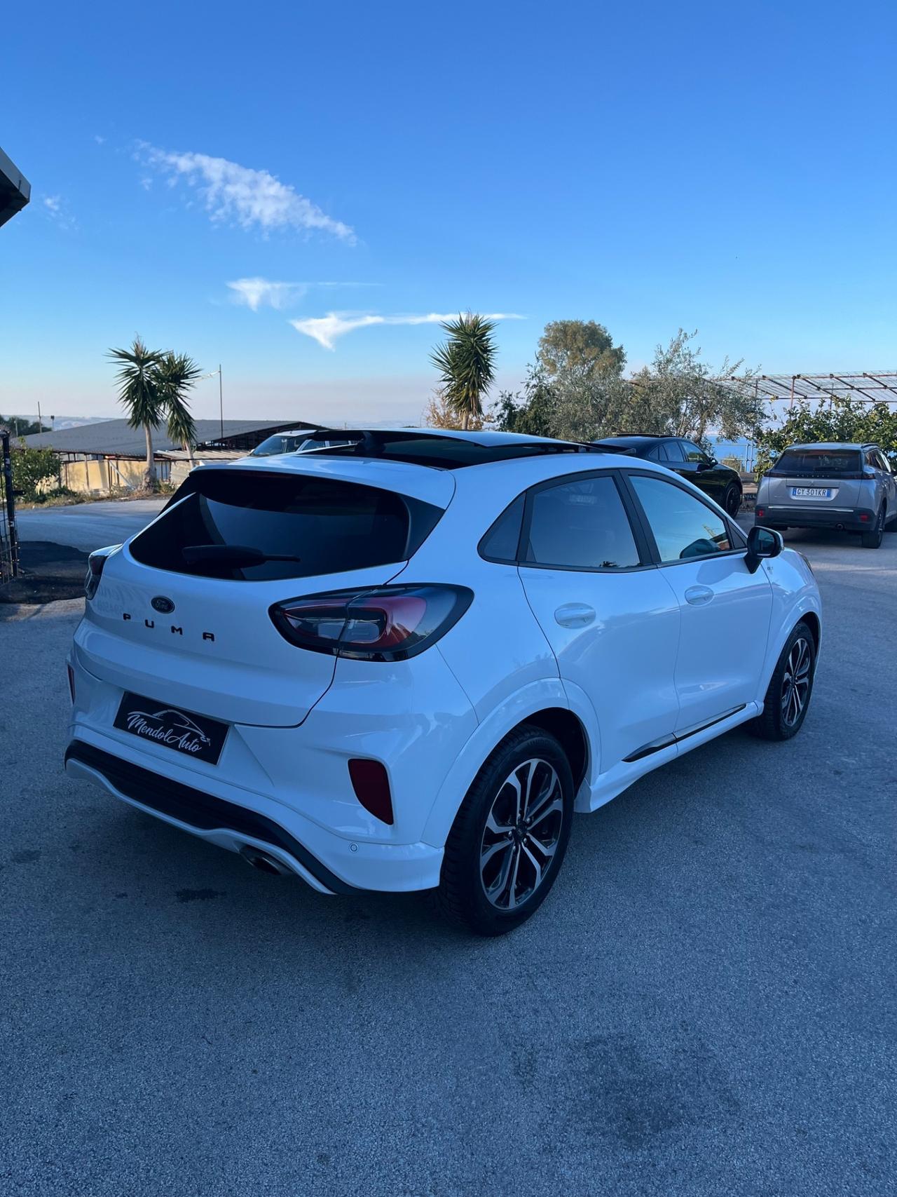 Ford Puma 1.5 EcoBlue 120 CV S&S ST-Line