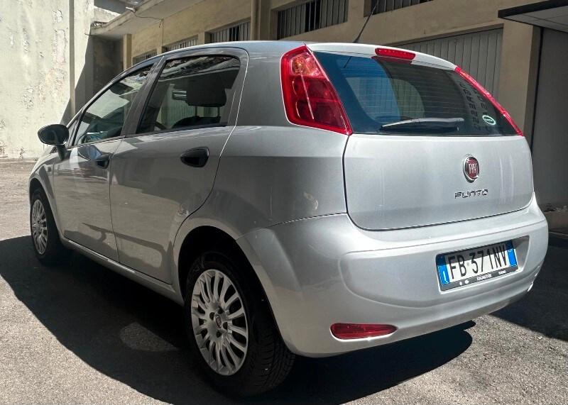 FIAT Punto 4ª serie Punto 1.2 8V 5 porte Street