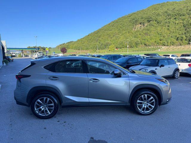 LEXUS NX 300 Hybrid NX300h 4x4 AUTOMATICA AWD 4WD TETTO LED