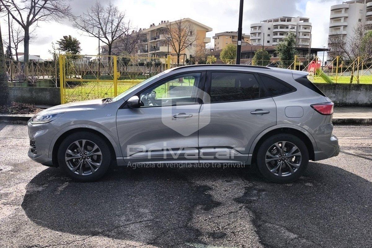 FORD Kuga 1.5 EcoBlue 120 CV 2WD ST-Line