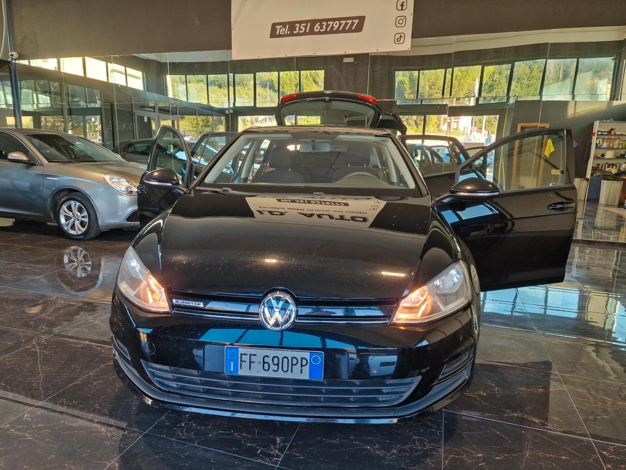 Volkswagen Golf 1.4 TGI 5p. Executive BlueMotion