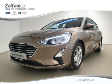 FORD Focus 4ª serie - Focus 1.5 EcoBlue 120 CV automatico 5p. Business Co-Pilot