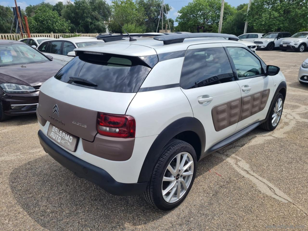 CITROEN C4 Cactus BlueHDi 100 S&S Shine N1