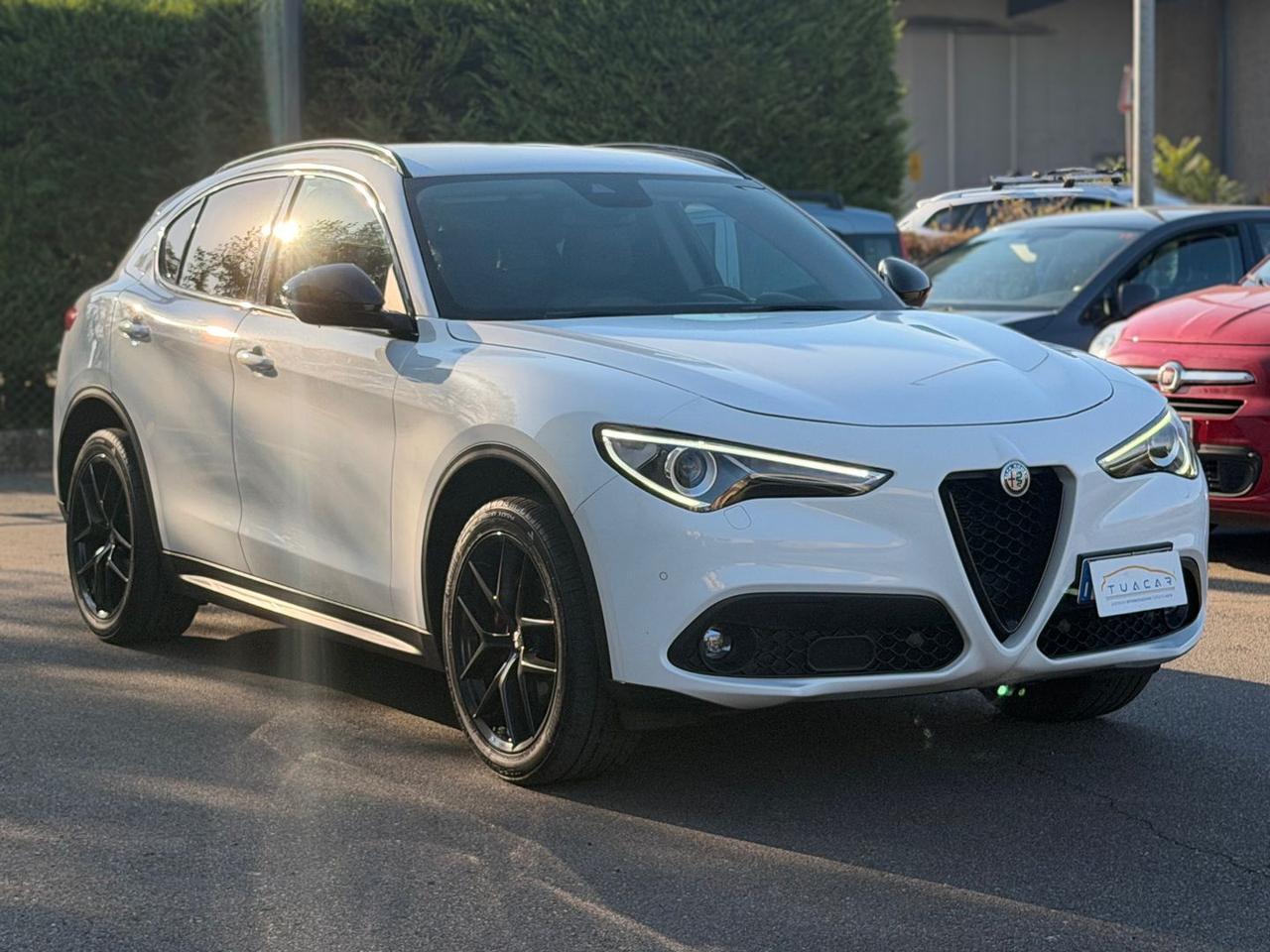Alfa Romeo Stelvio B-Tech 2.2 #11655