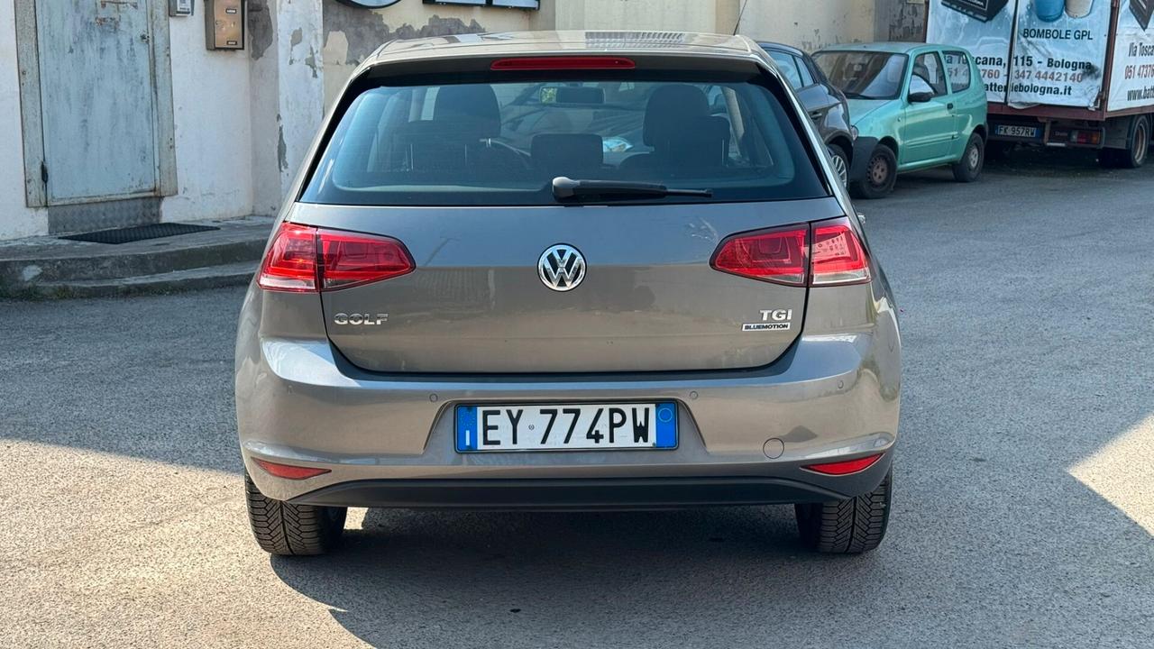 Volkswagen Golf Business 1.4 TGI 5p. Highline BlueMotion