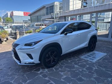 Lexus NX Hybrid NX 300 Hybrid Premium 4WD