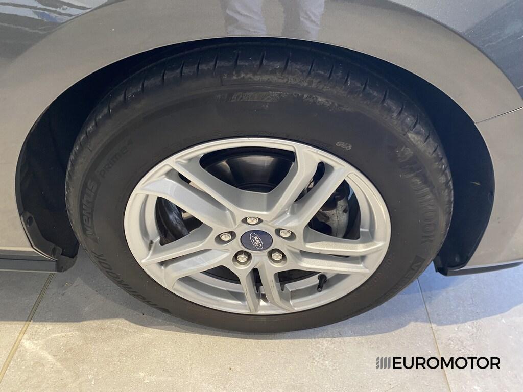 Ford Focus 5 Porte 1.5 EcoBlue Business