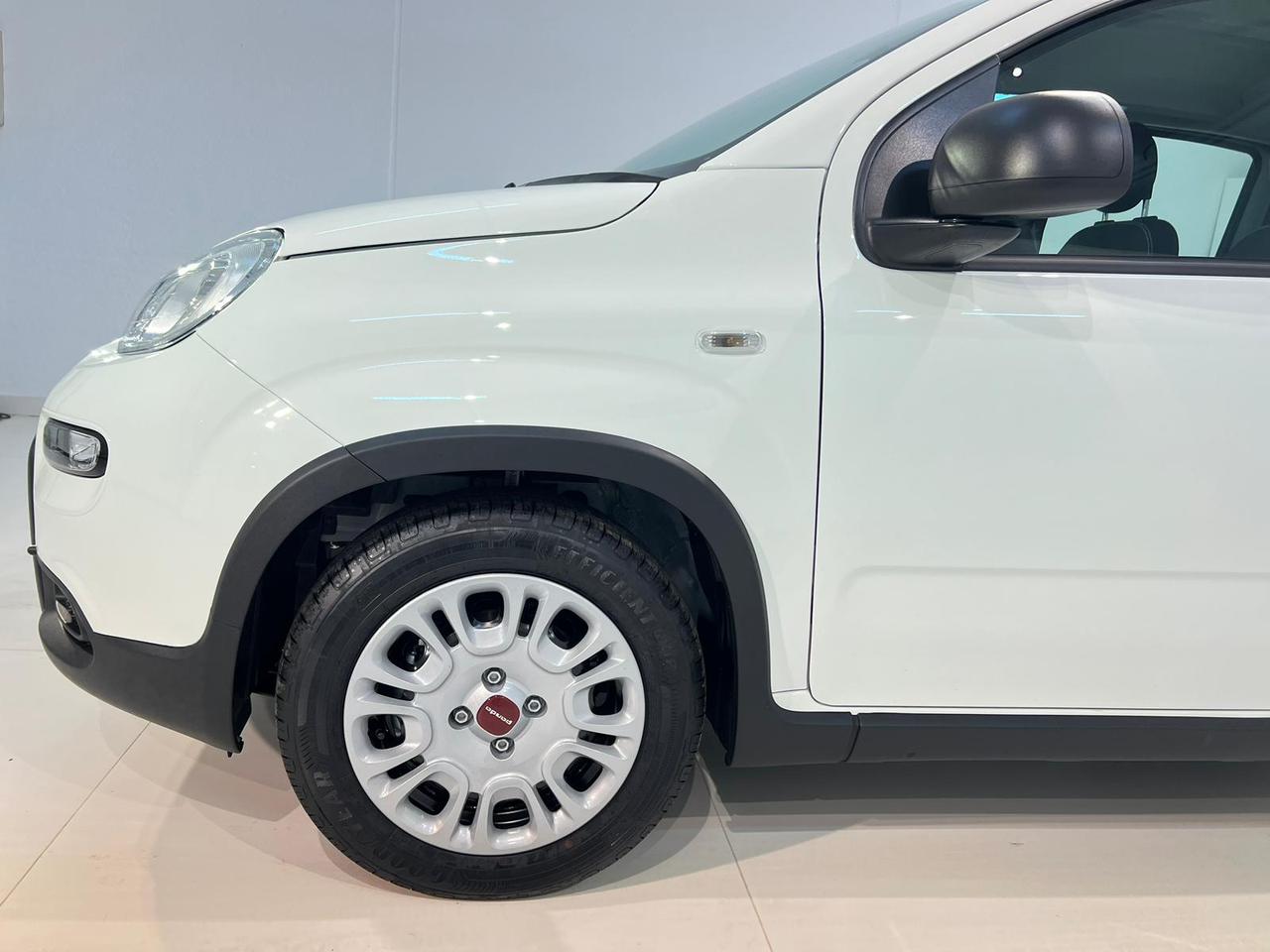 Fiat Panda 1.0 FireFly S&S Hybrid Panda