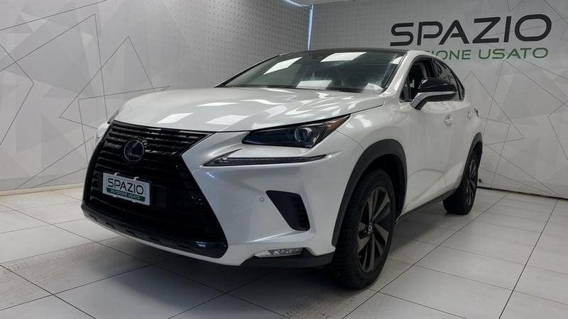 Lexus NX I 2018 300h 2.5 Premium 4wd cvt