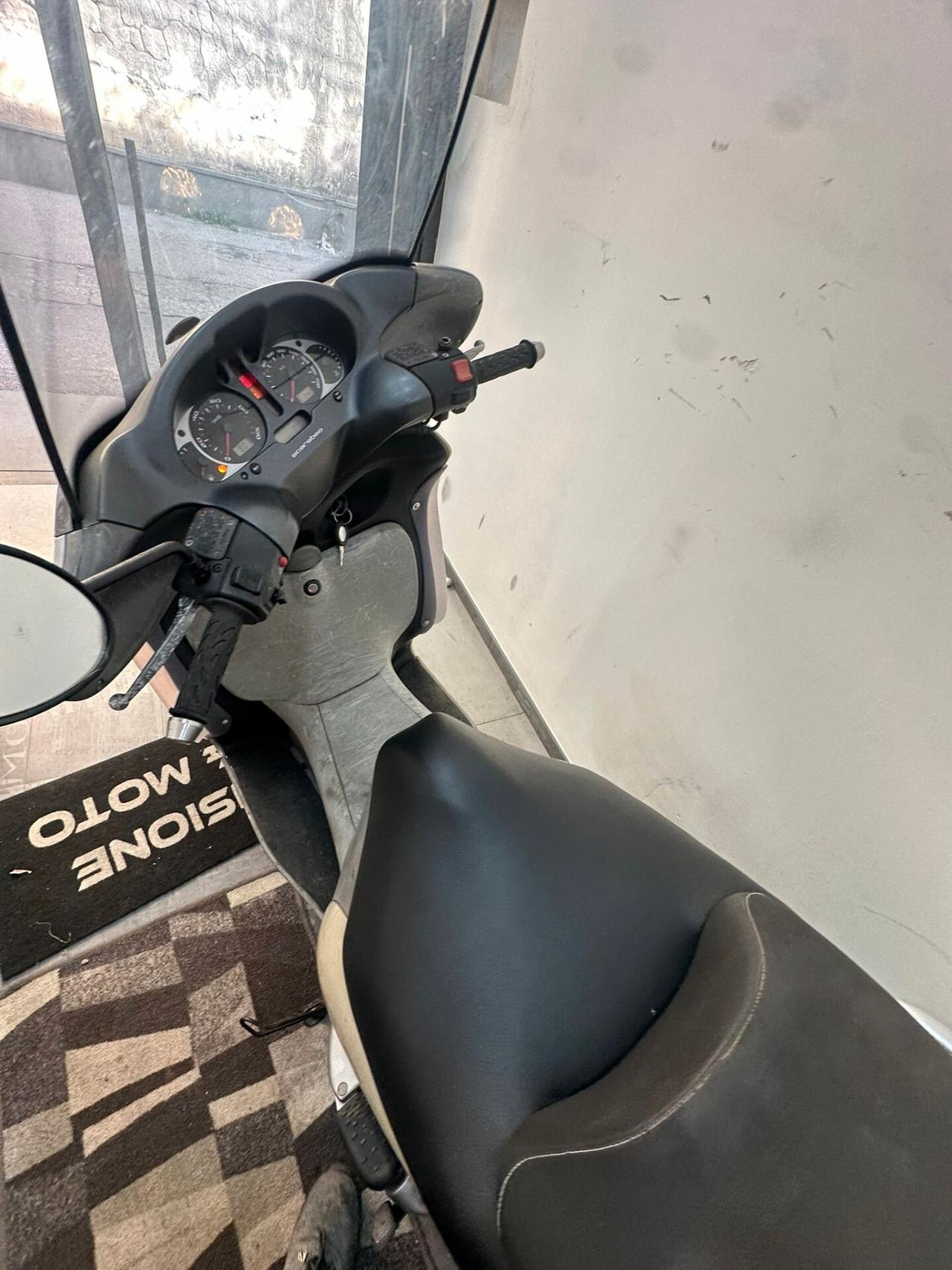 Aprilia Scarabeo 500