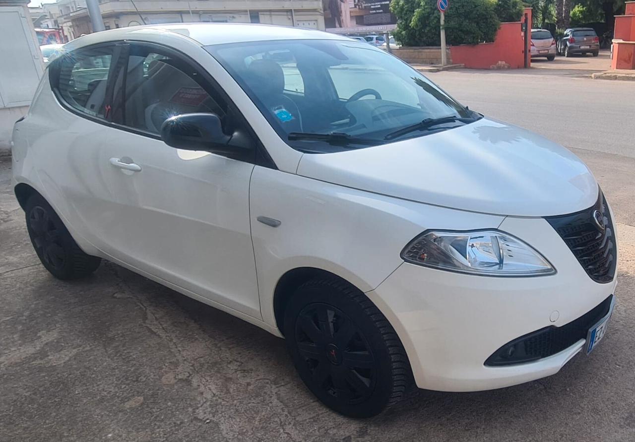 Lancia Ypsilon 1.2 69 CV 5 porte Elefantino