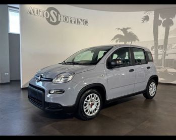 FIAT Panda 3ª serie 1.0 FireFly S&S Hybrid City Cross