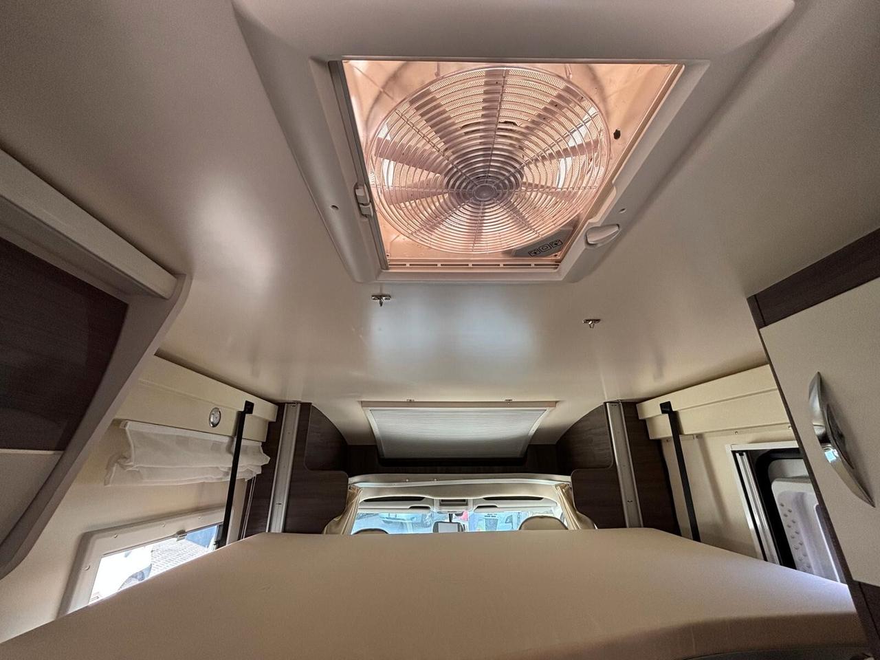 Mclouis Yearling 89g camper