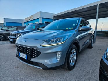 Ford Kuga 1.5 EcoBlue 120 CV aut. 2WD Connect