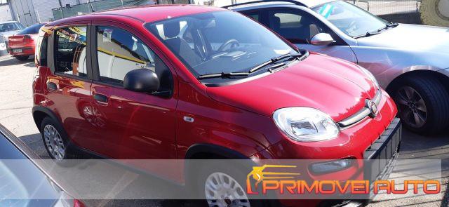 FIAT Panda 1.0 FireFly S&S Hybrid PRONTA CONSEGNA