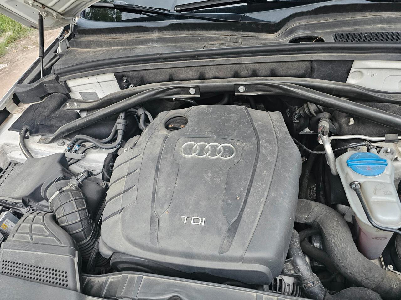 Audi Q5 2.0 TDI 143 CV quattro Advanced Plus