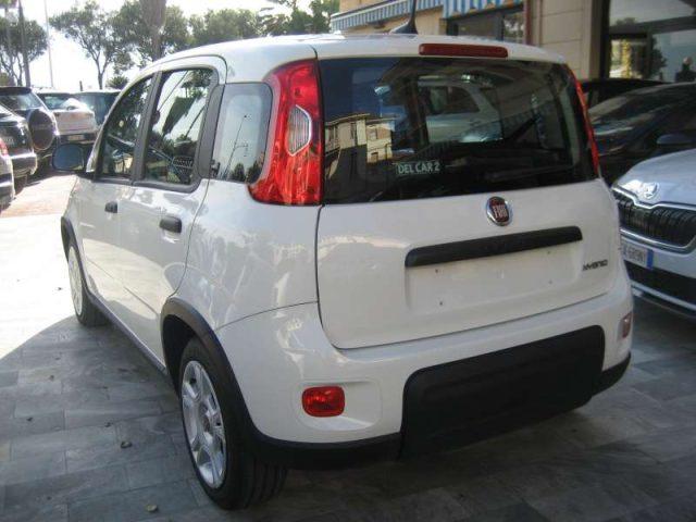 FIAT New Panda 1.0 FIREFLY S-S HYBRID CITY LIFE