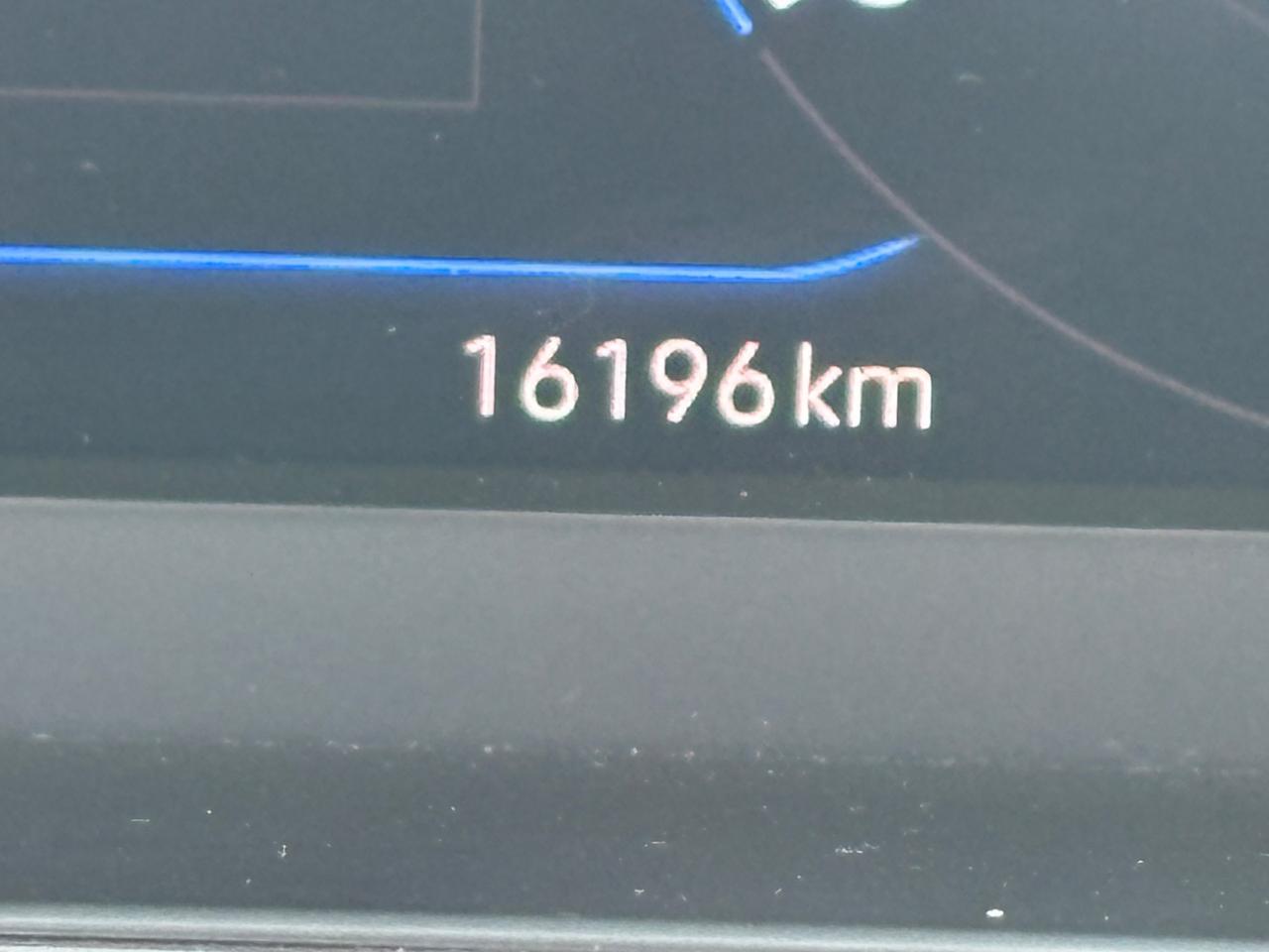 Volkswagen T-Roc 1.5 TSI 16000 Km - 03/2024