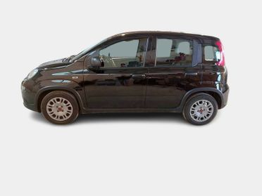 FIAT PANDA 1.0 FireFly 70cv S/S Hybrid 5 PORTE