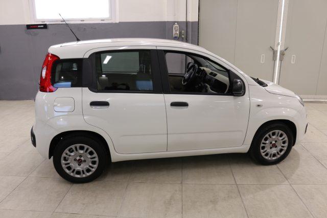 FIAT Panda 1.2 "" SOLO 32000 Km "" CLIMA ""