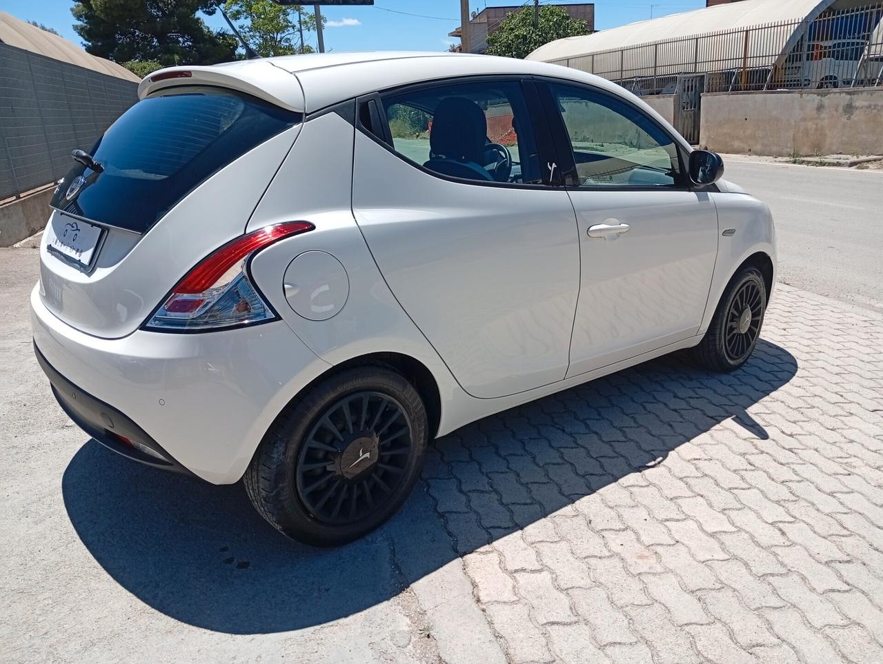Lancia Ypsilon 1.2 69 CV 5 porte Elefantino