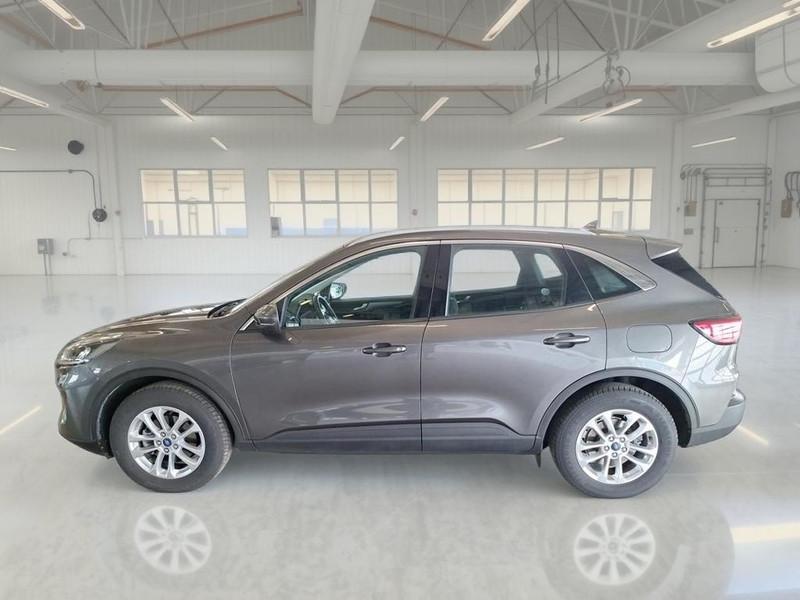 FORD KUGA 1.5 EcoBlue 120CV 2WD Titanium Business Auto