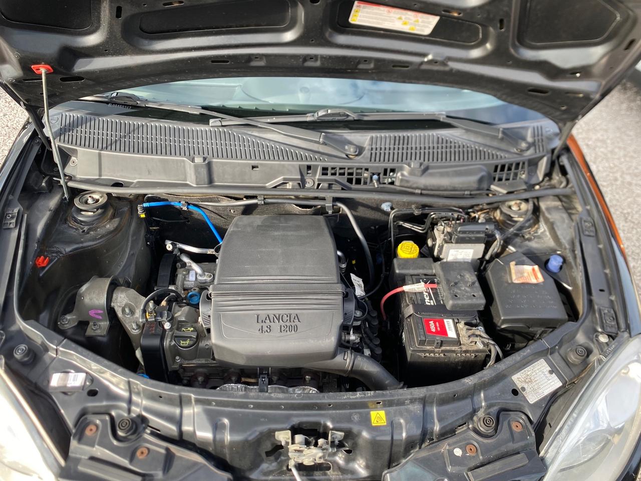 Lancia Ypsilon 1.2 Oro Giallo UNICO PROPIETARIO NEOPATENTATI