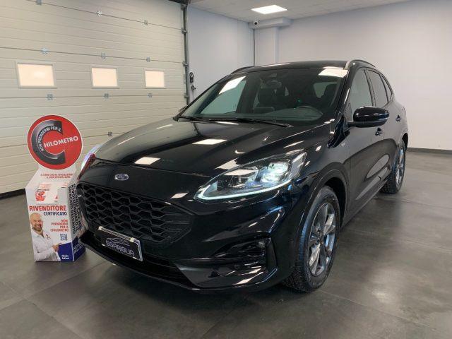 FORD Kuga 1.5 Diesel Automatico ST-Line X StraFull 2WD