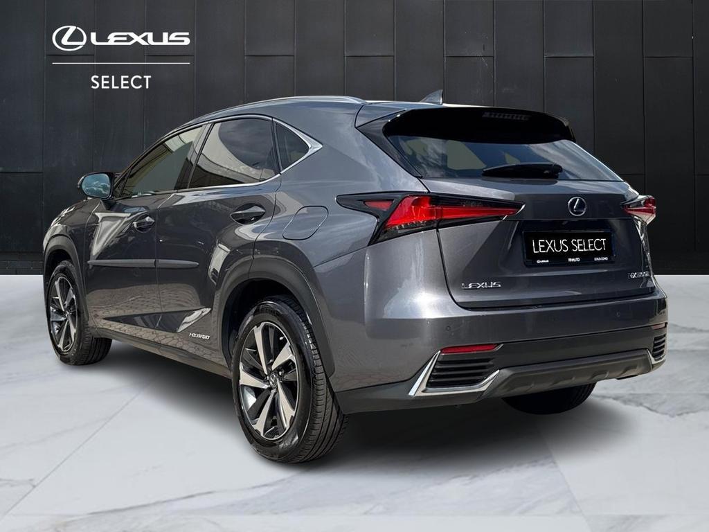 Lexus NX 300 h 2.5 Luxury 4wd cvt