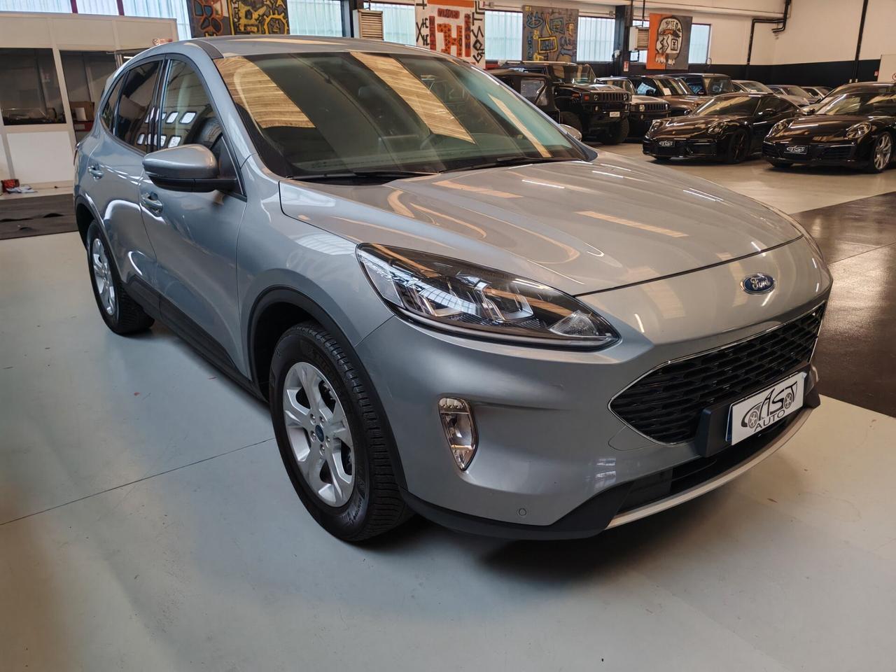 Ford Kuga 1.5 EcoBlue 120 CV automatico