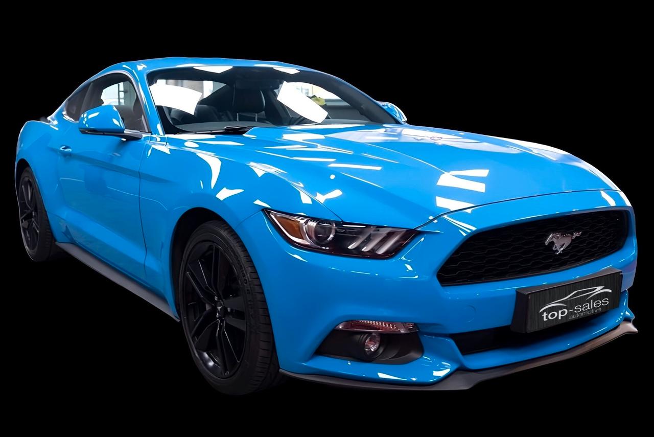 FORD MUSTANG COUPE PERFETTA CV 317