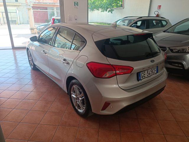 FORD Focus 1.5 EcoBlue 120 CV 5p. Business