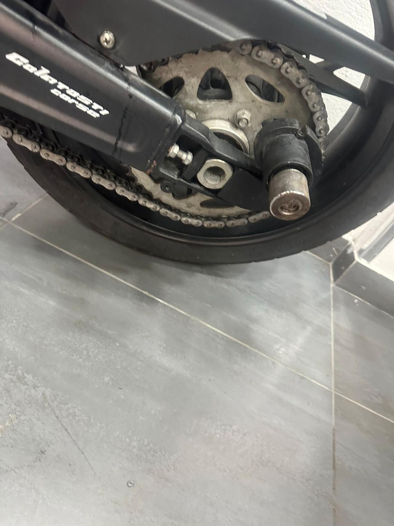 BENELLI LEONCINO 800