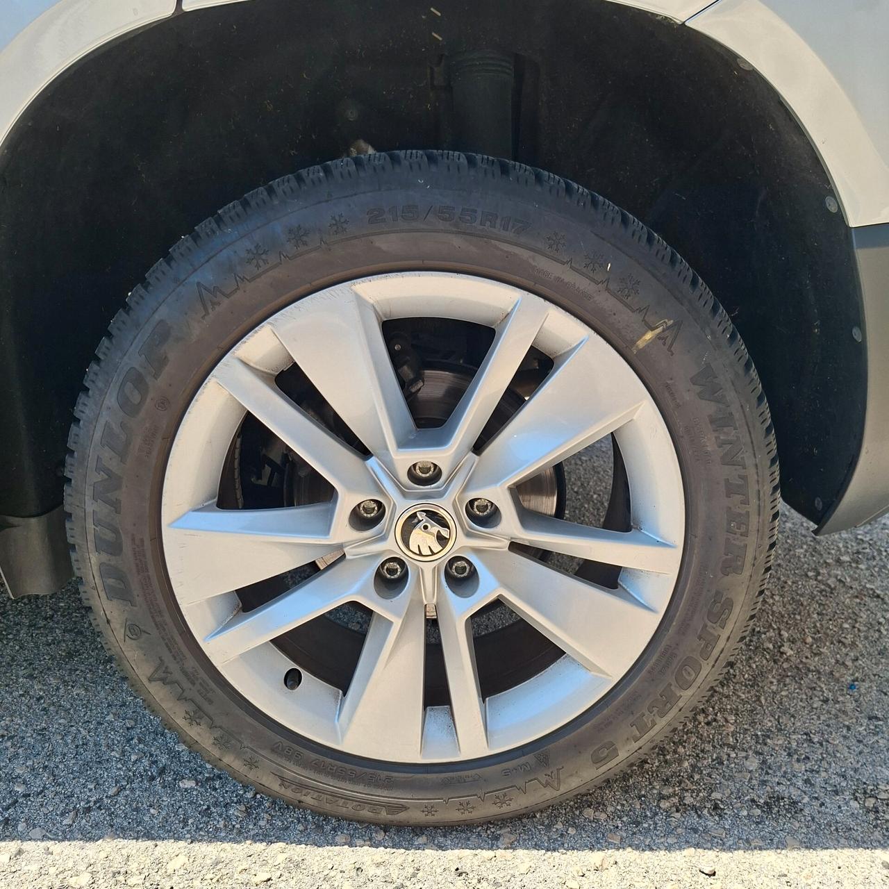 Skoda Karoq 1.6 Tdi 115Cv DSG Executive