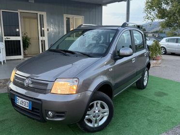 Fiat Panda 1.3 MJT 4x4 SOLO 55MILA KM