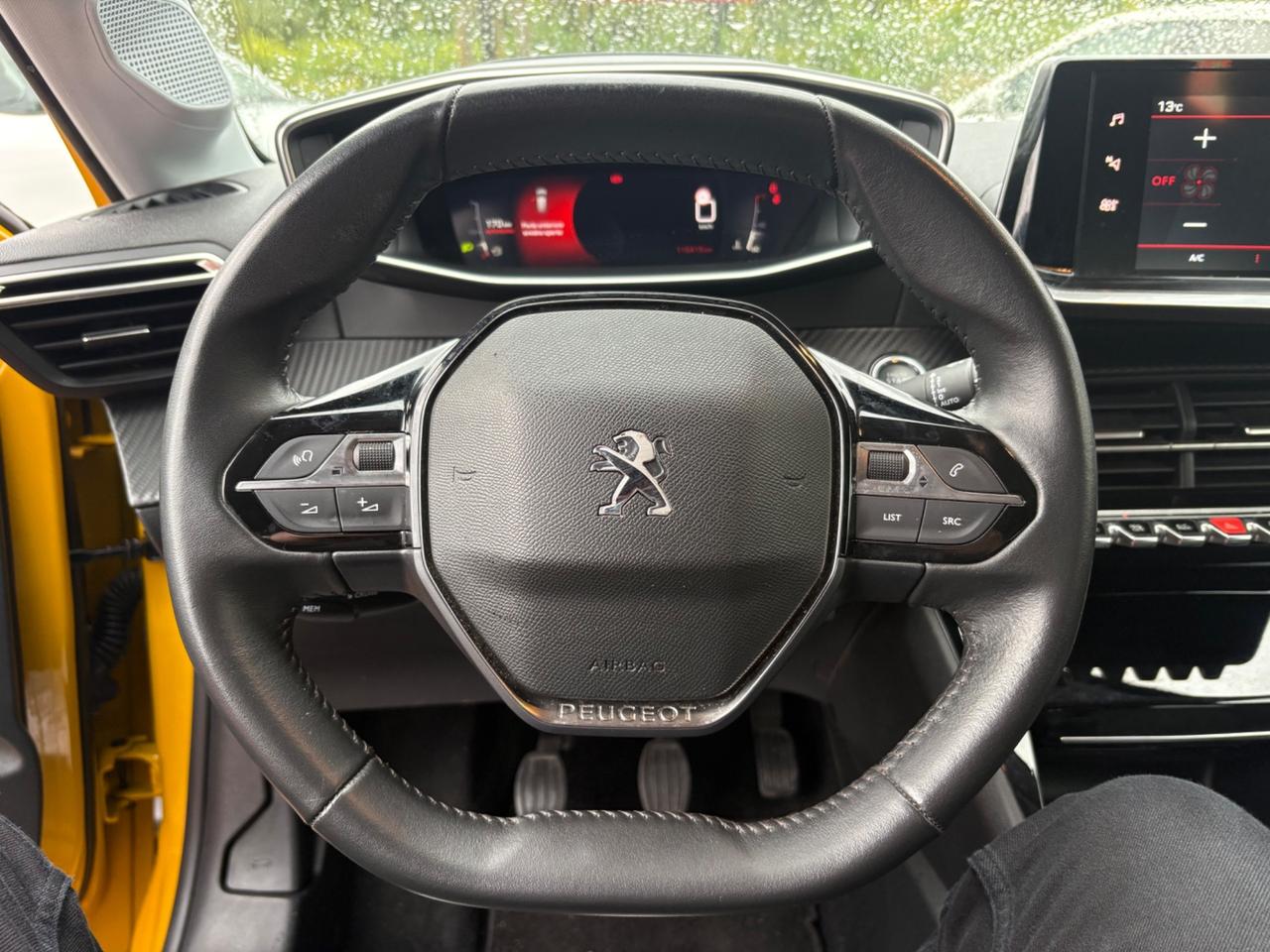 Peugeot 208 BlueHDi 100 Stop&Start 5 porte Active Pack