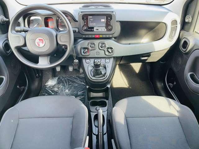 Fiat Panda Panda 1.0 firefly S&S PRONTA CONSEGNA SUPER PROMO