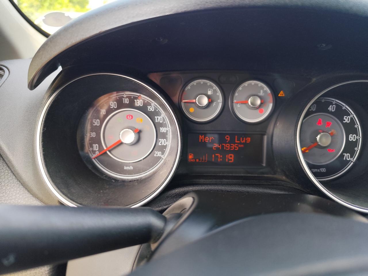 FIAT Punto Evo Punto Evo 1.4 5 porte Active Nat...