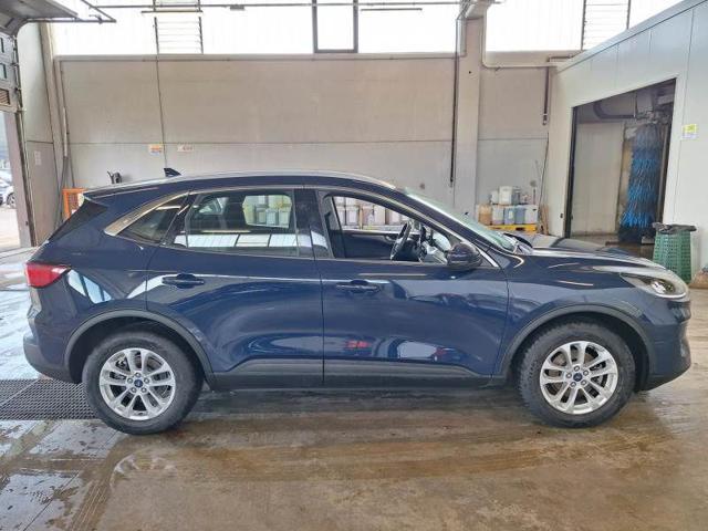 FORD Kuga 1.5 EcoBlue 120 CV 2WD Titanium Business