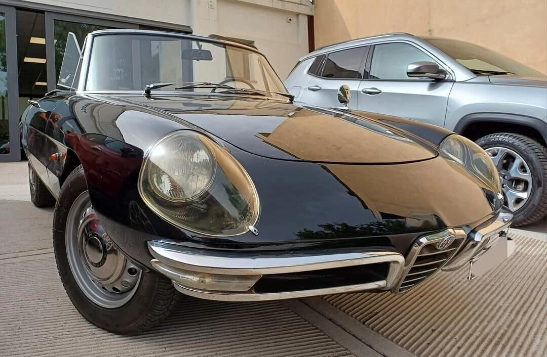 Alfa Romeo Altro Alfa romeo Spider Osso di Seppia 1967