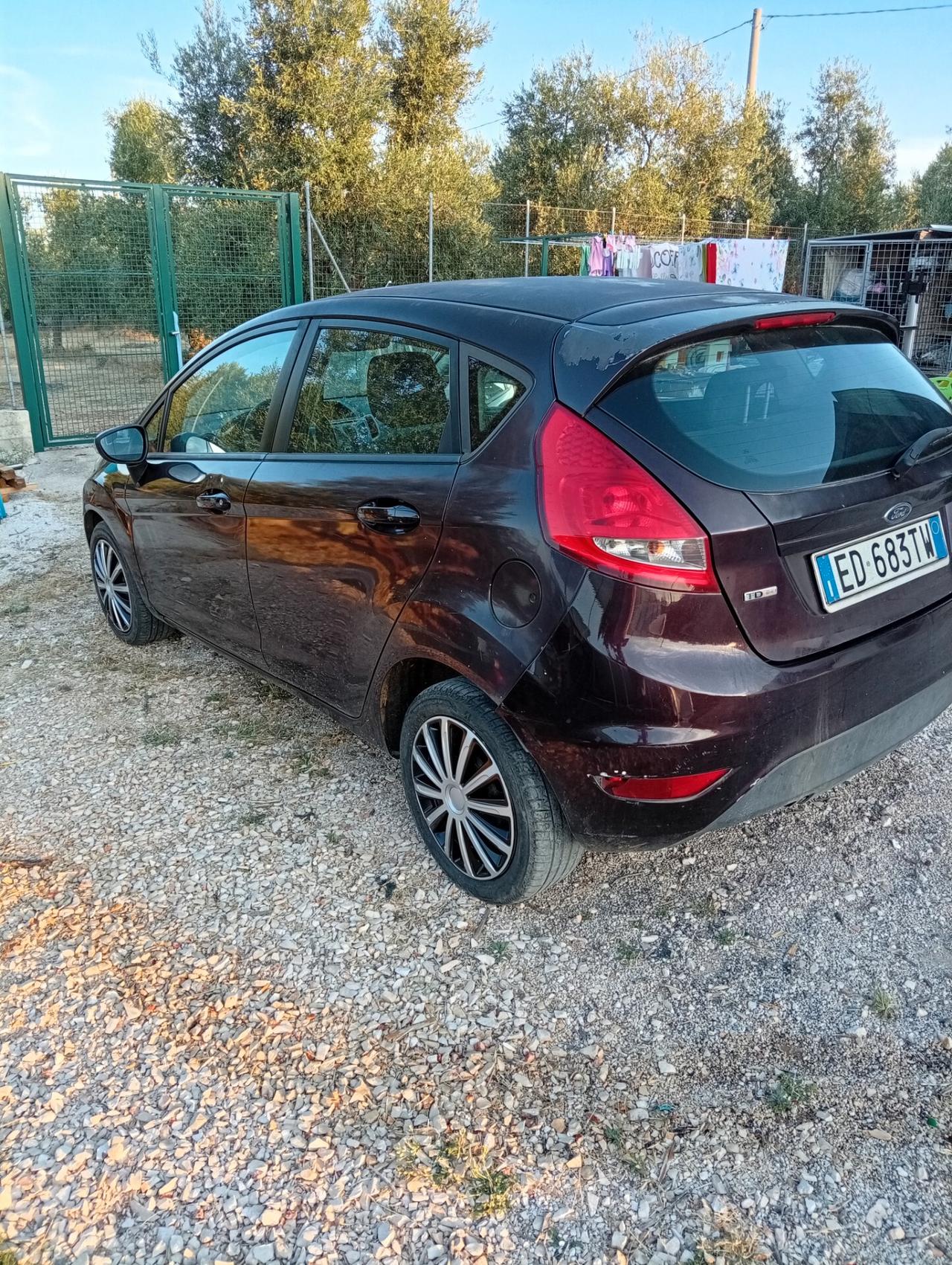Ford Fiesta 1.4 TDCi 5p.