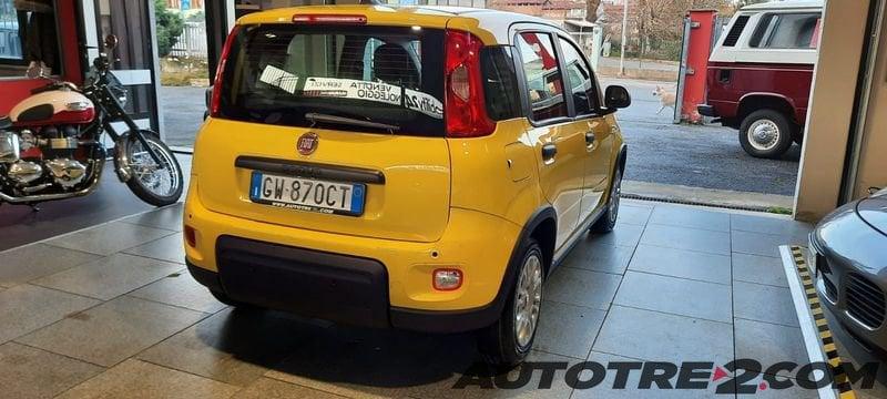 FIAT Pandina Pandina 1.0 firefly hybrid Icon s&s 65cv TUA DA € 9950 !!