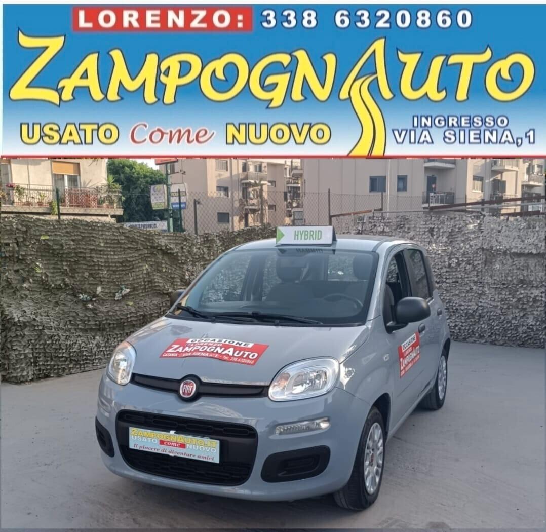 Fiat Panda 1.0 FireFly S&S Hybrid 2021 ZAMPOGNAUTO CT