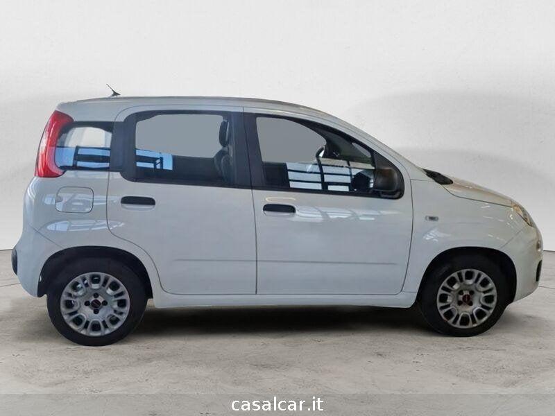 FIAT Panda Panda 1.3 MJT 95 CV S&S Easy FINO A 3 ANNI DI GARANZIA KM ILLIMITATI PARI ALLA NUOVA